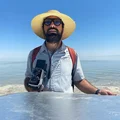 AM  Avatar