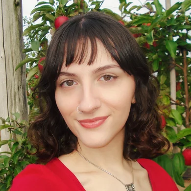 SD  Avatar