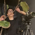 NC  Avatar