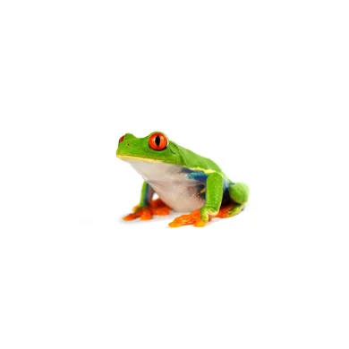 MP  Avatar