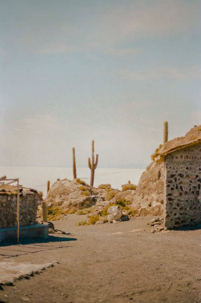 Project image