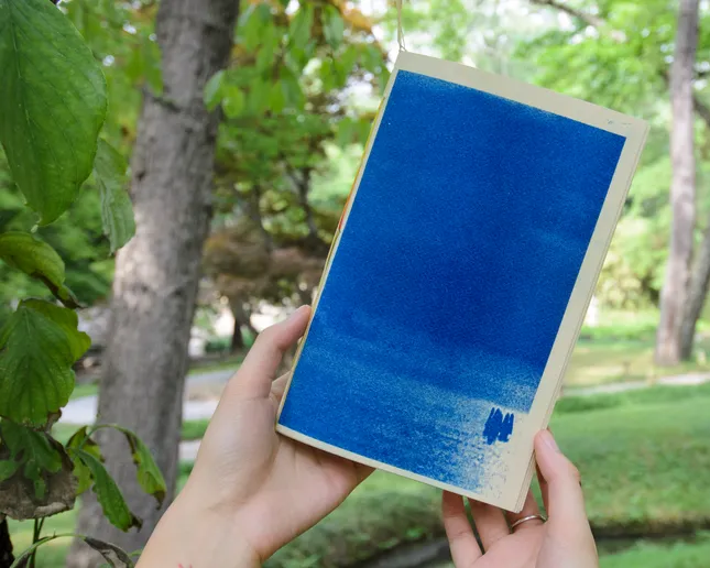 Riso Photo Book