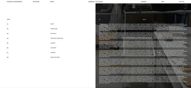 Project image