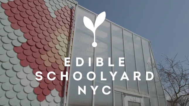 Edible Schoolyard NYC