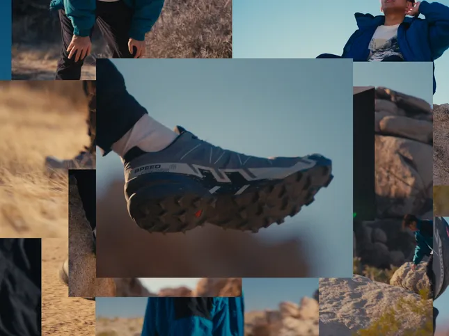 Salomon - (Spec)