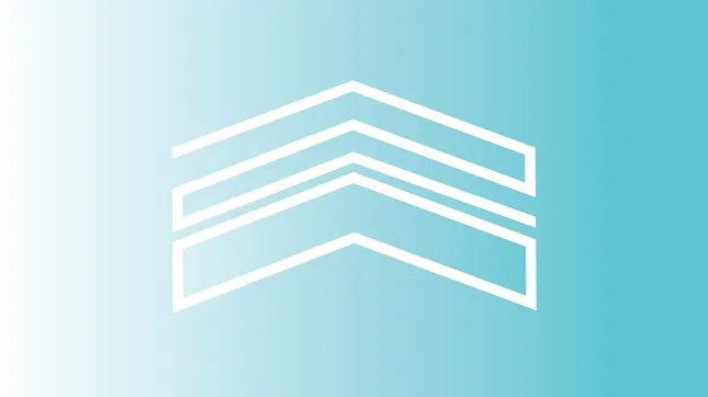 Twentieth Gallery Logo