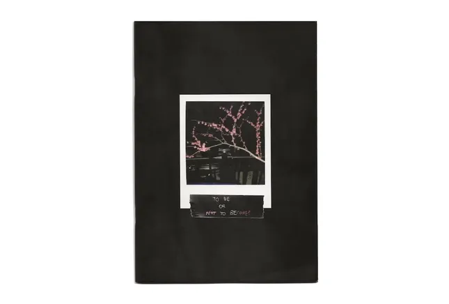 To Be or To Become Zine