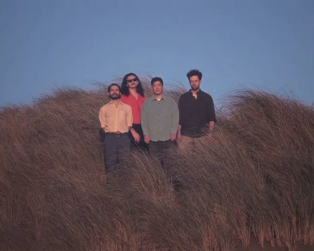 Rabbit - Bomb Music Video
