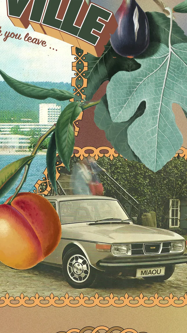 Project image