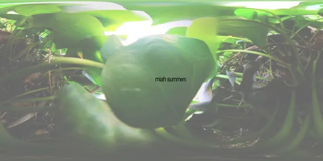 3D VR Visuals - Miah Summers ‘Garden Speak’