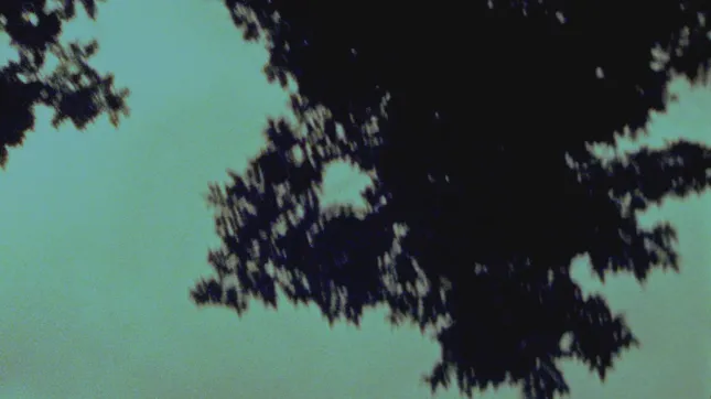 Maggie Rogers - Live Visuals