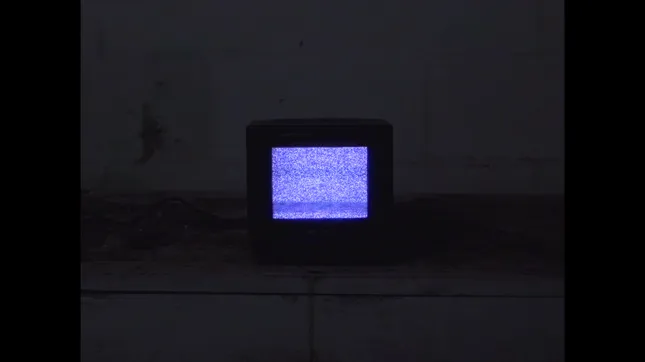 Reel 2024