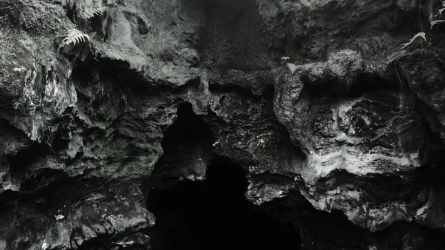 ROZET / social teaser