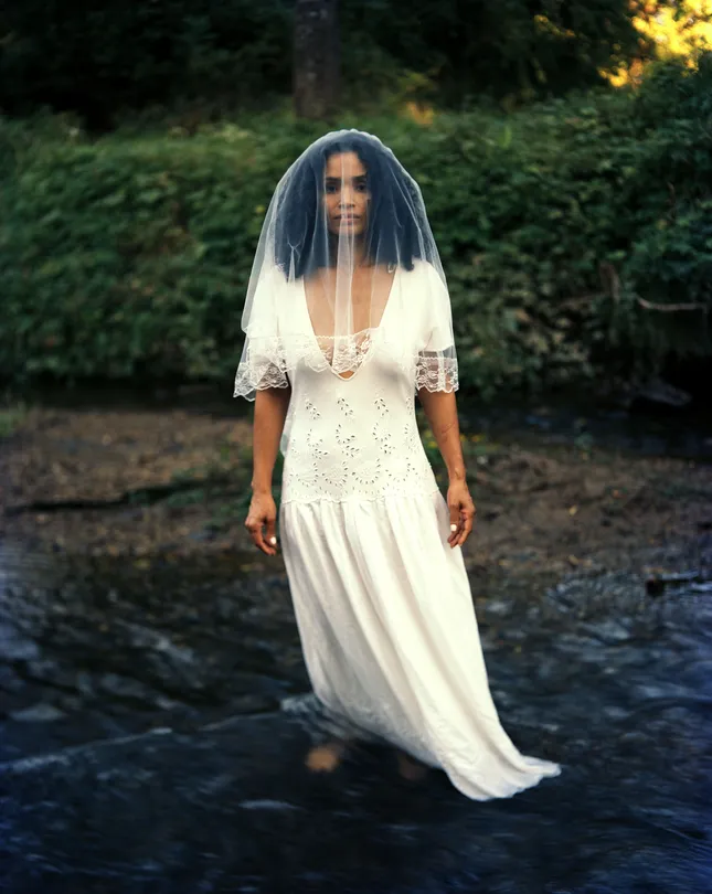 Amarilys 4x5 Large Format Film