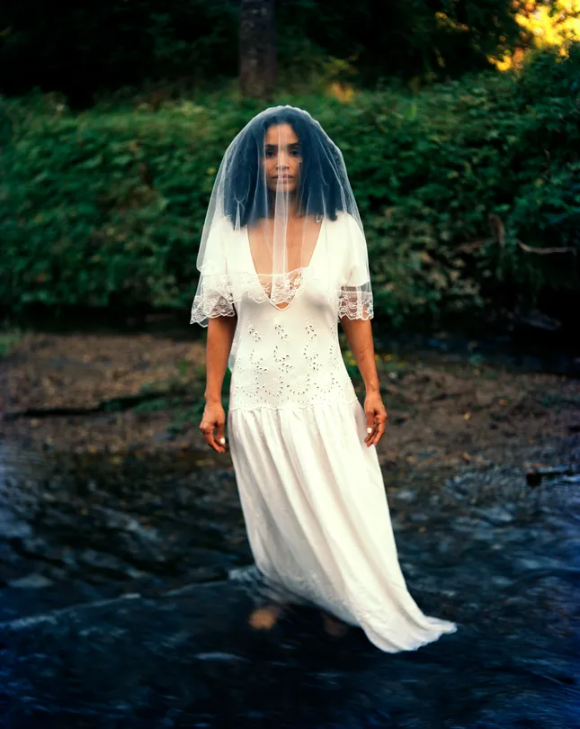 Amarilys 4x5 Large Format Film