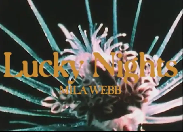 Mila Webb - Lucky Nights