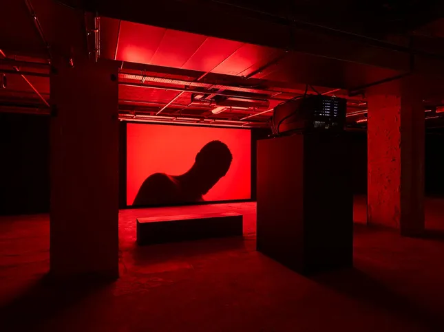 Project image