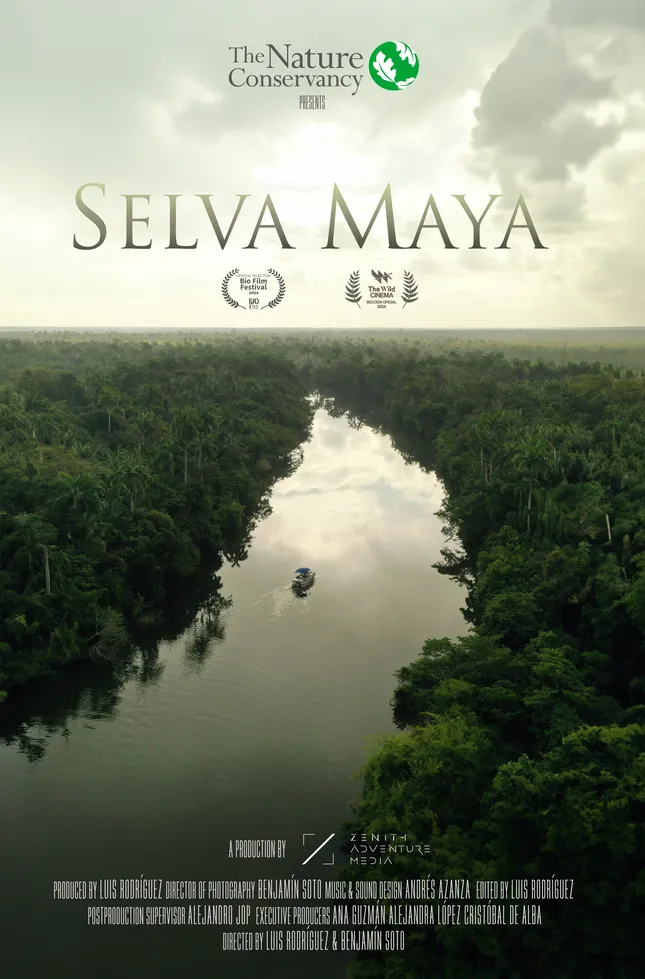 Mayan Jungle