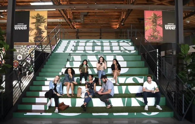WEED MAPS: MUSEUM OF WEED