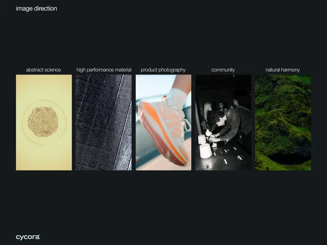 Project image