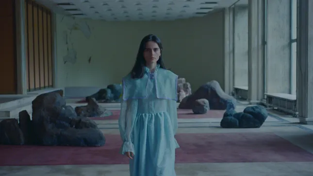 Valeria Stoica - The Will