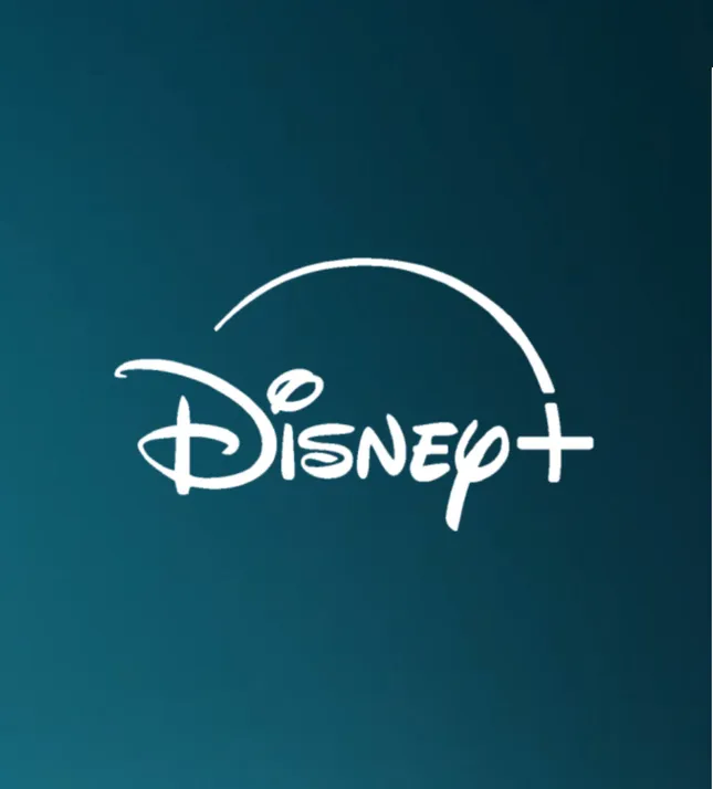 Unannounced Disney TV Show