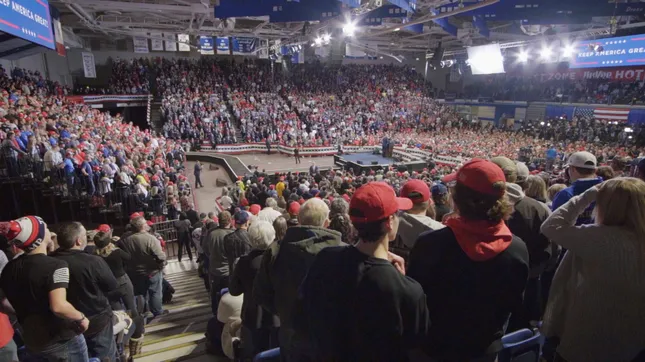 The Circus