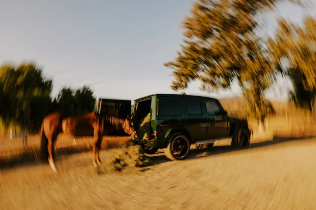 Horsepower, Fueled & Fed