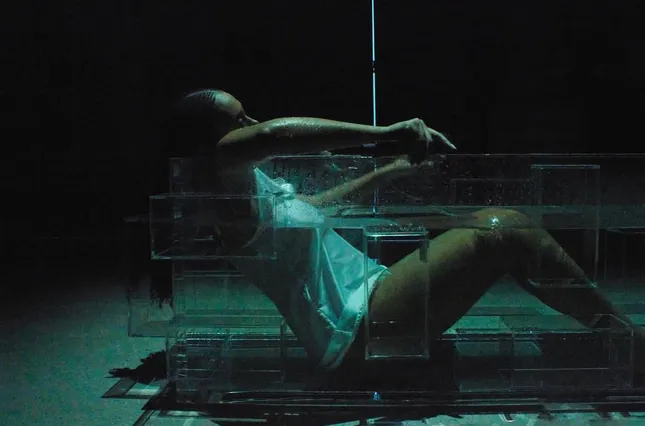 In Service To Whom (2023) by Solange Knowles