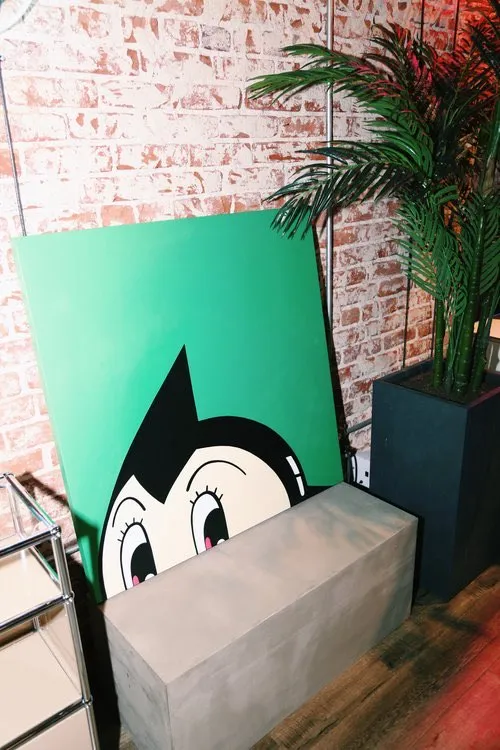 Project image