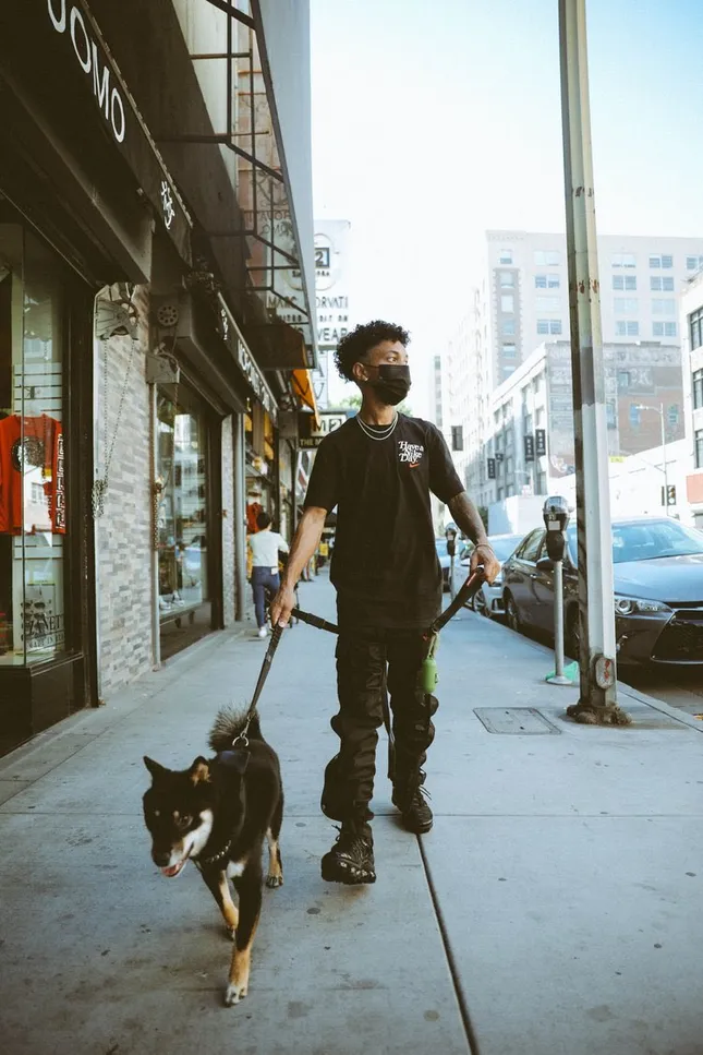 Project image