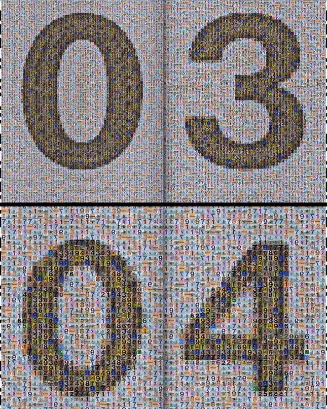 Project image