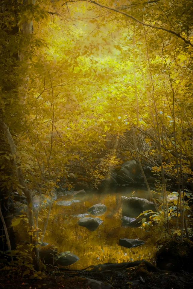 Landscapes