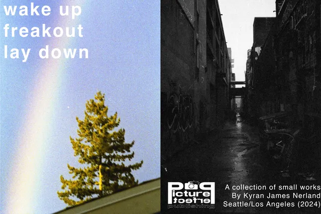 “wake up/freakout/lay down” photo series