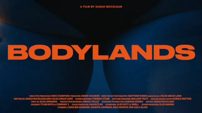 Bodylands