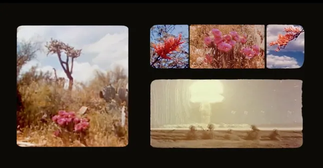 Artist Postcards