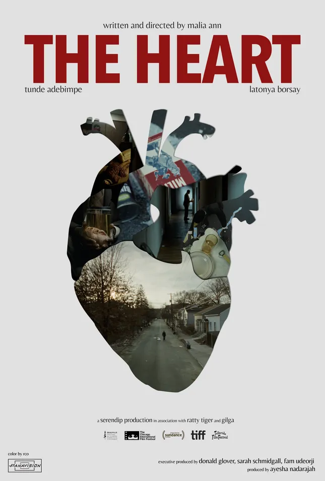 The Heart