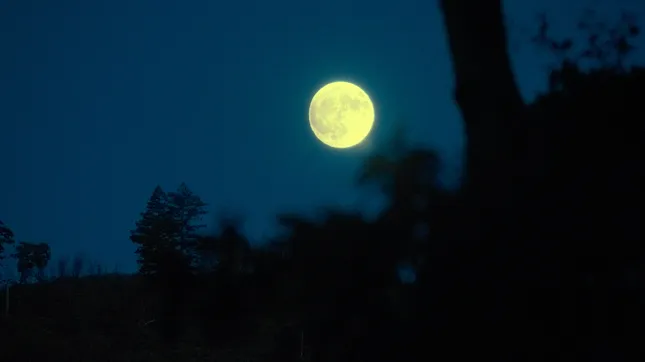 moonlit - a summer segment
