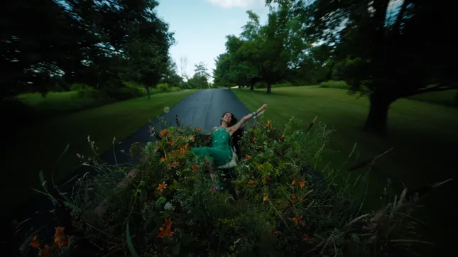 Where The Butterflies Went: A Raveena Album Film