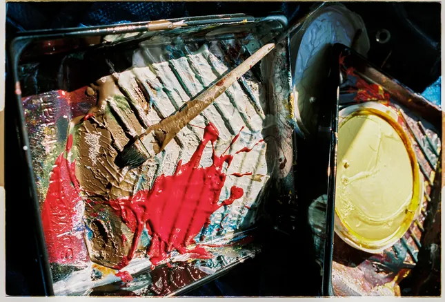 Project image