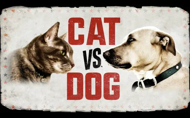Animal Planet - Cat Vs. Dog