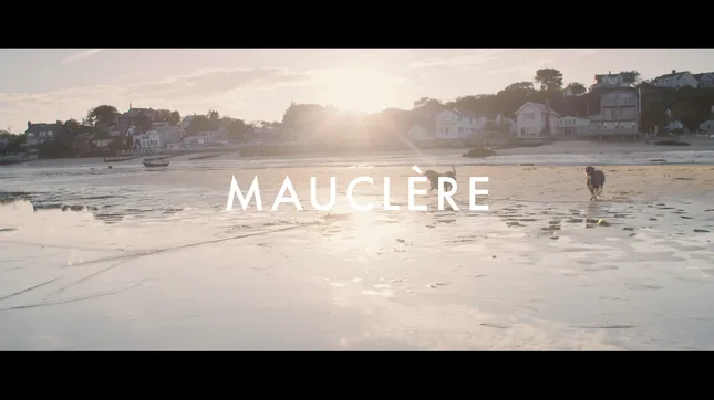 Mauclere Leather