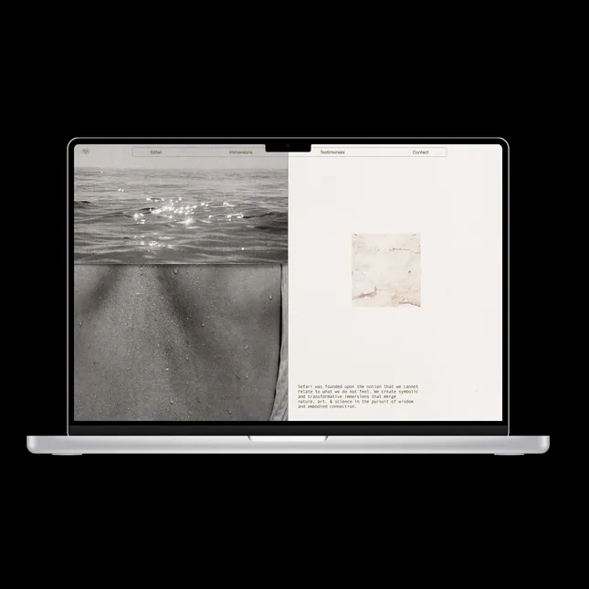 Project image