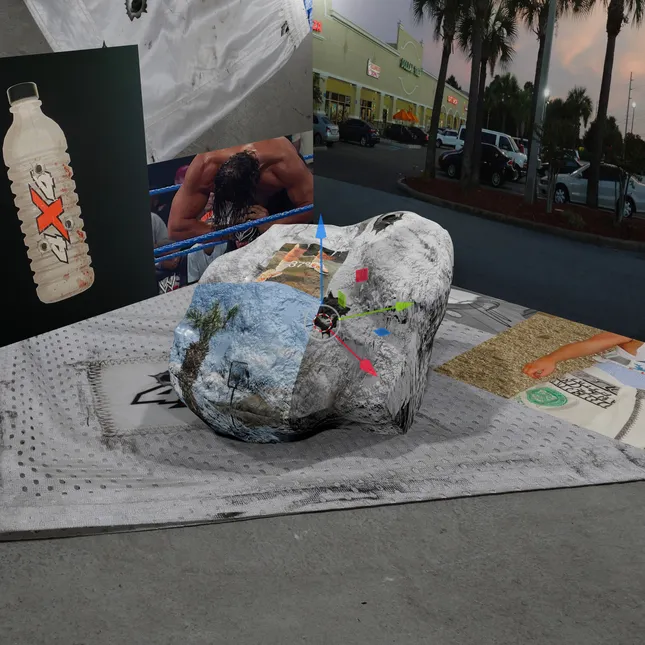 Project image