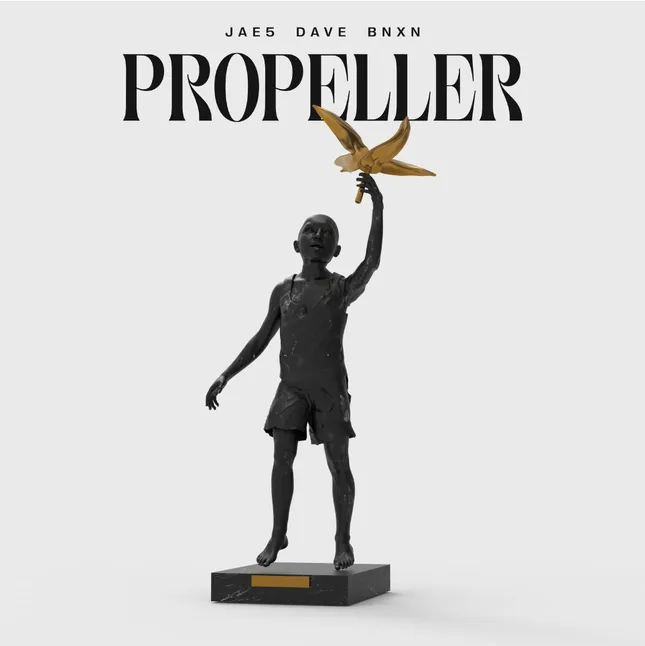 Propeller Cover Concept