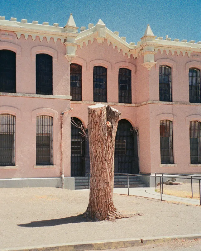 Project image