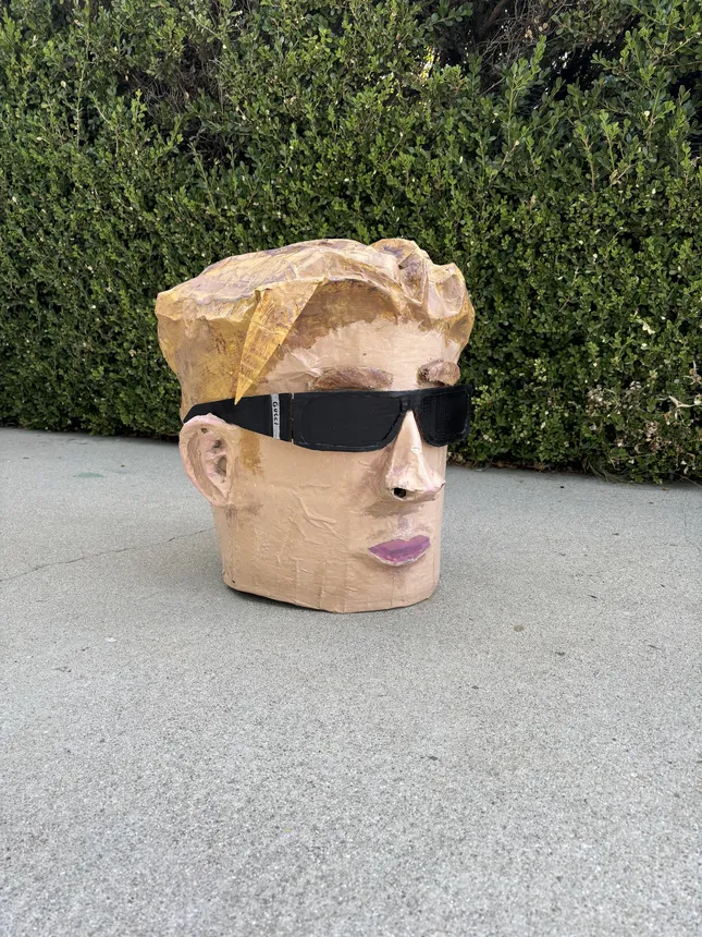 Project image