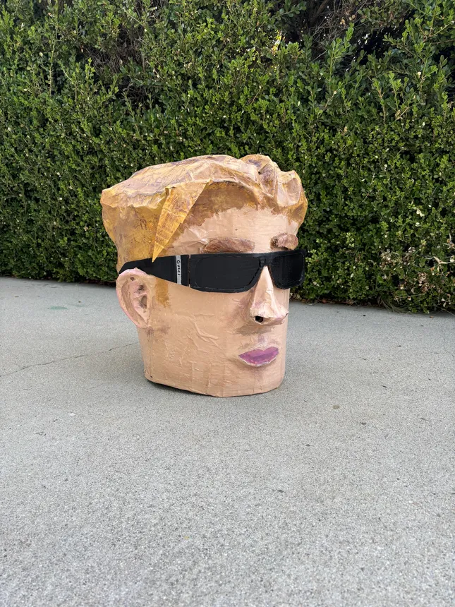 Project image