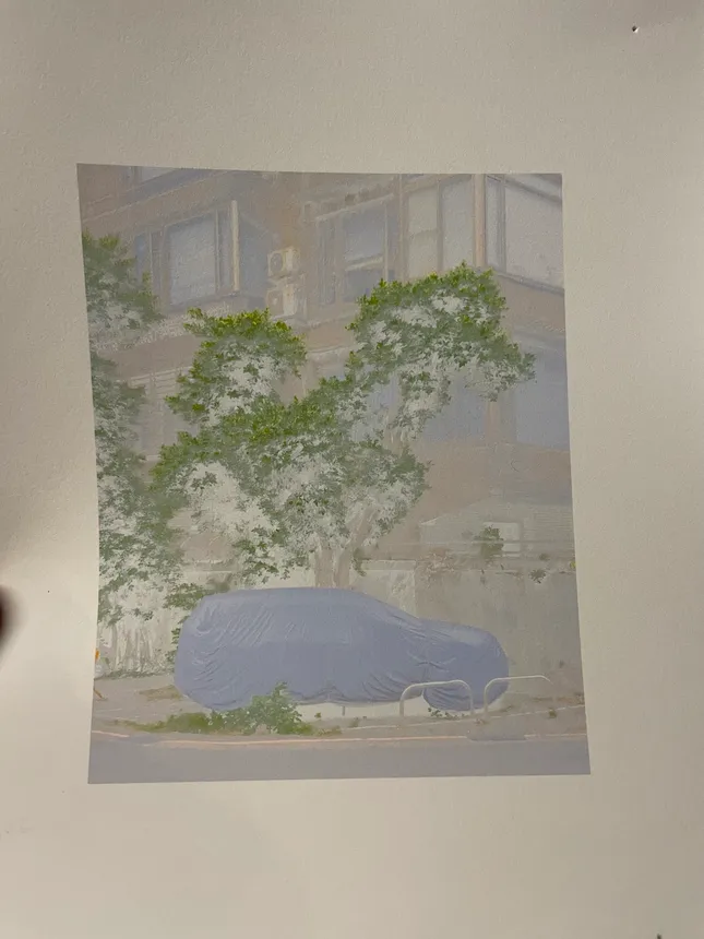Project image