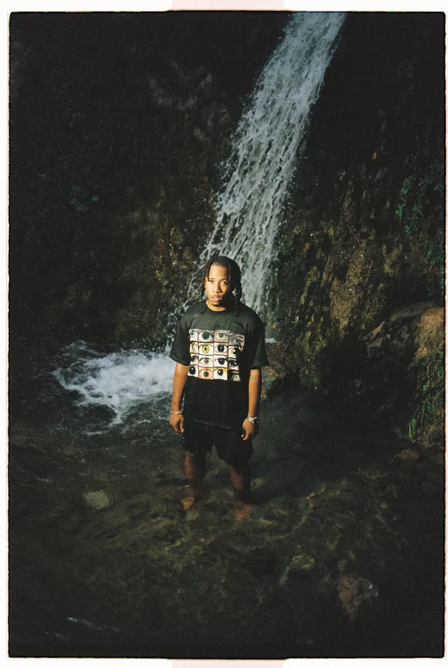 Project image